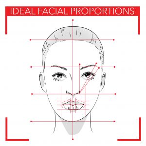 face chart make up.Ideal facial proportion-img-blog